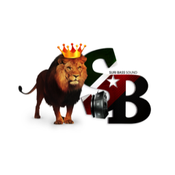 DJ Lyon King